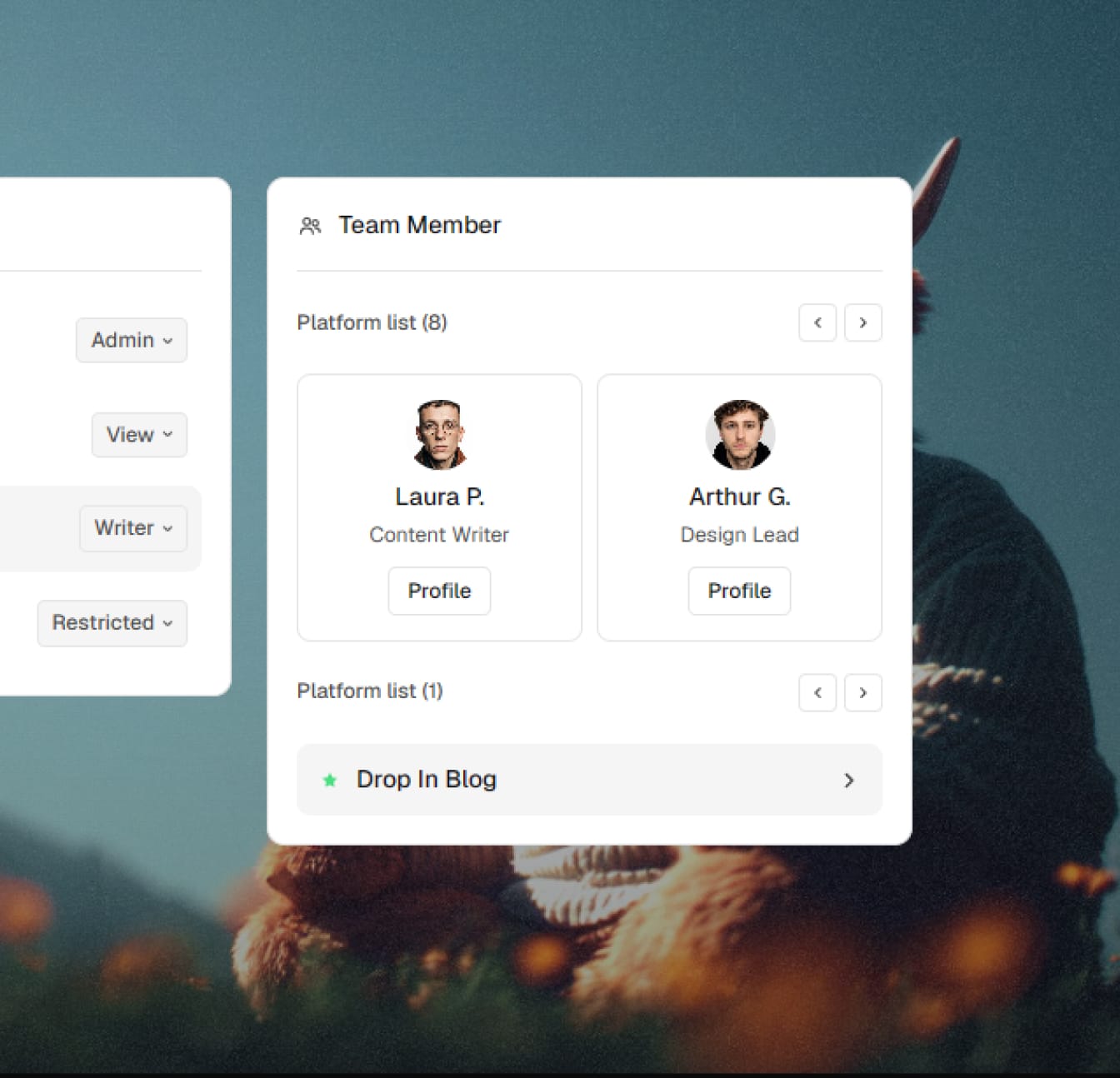 Dither - SaaS Website project detail